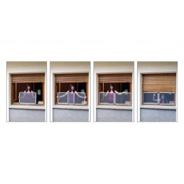 MOSQUITERA VENTANA...