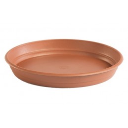 PLATO MACETA REDONDA...