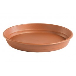 PLATO MACETA REDONDA...