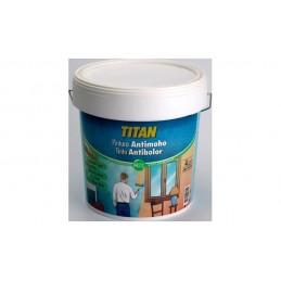 PINTURA ANTIMOHO  750 ML...
