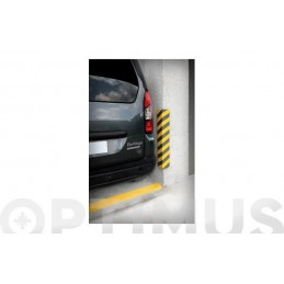 PROTECTOR PARKING...