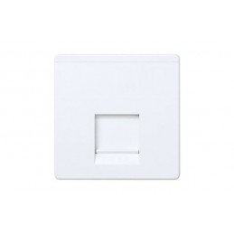 TOMA INFORMATICA RJ45...