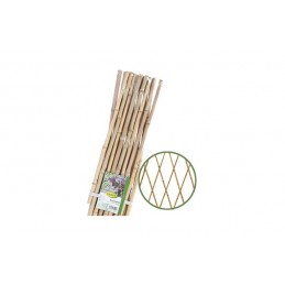 CELOSIA BAMBU EXTENSIBLE...
