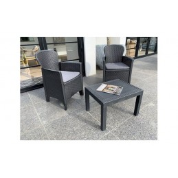 SILLON RATAN RESINA 2 U +...
