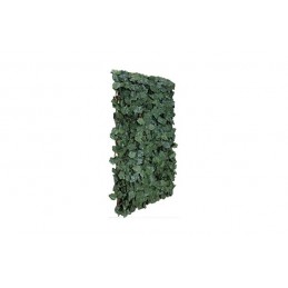 CELOSIA EXTENSIBLE  MIMBRE...