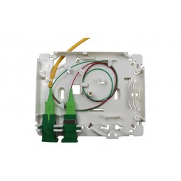 PAU FIBRA OPTICA 4S+2...