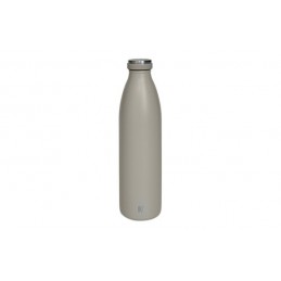 BOTELLA INOX TERMO